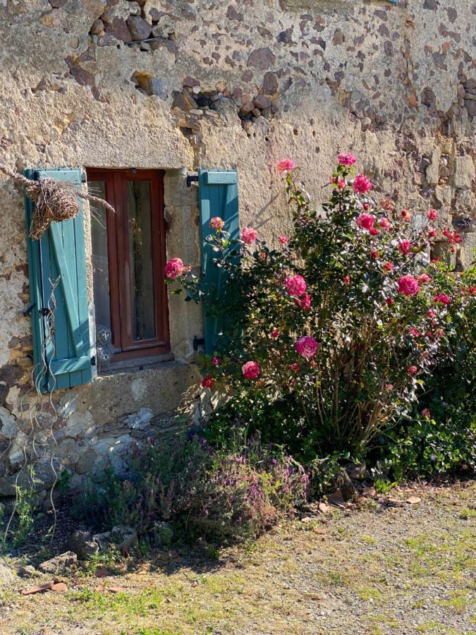 Bachellerie Bed & Breakfast Chéronnac Екстериор снимка